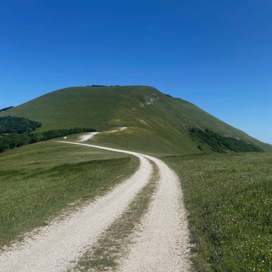 Strada sterrata tra prati che sale verso una montagna dalla cima tondeggiante, con cielo azzurro