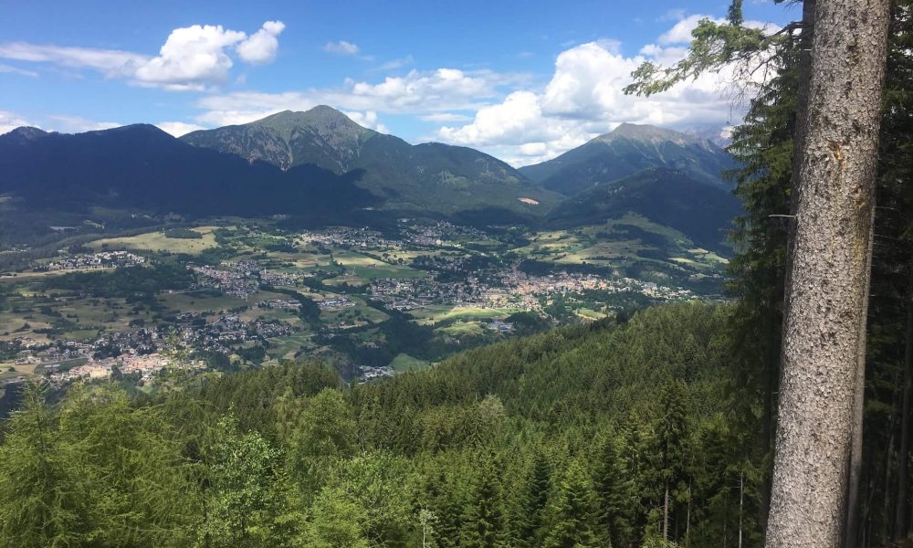 Vista panoramica sulla Val di Fiemme dall’alto, con boschi di abeti, paesi sul fondovalle e montagne sullo sfondo