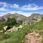 Sentiero di montagna tra prati e rocce, con piccoli abeti e montagne rocciose sullo sfondo