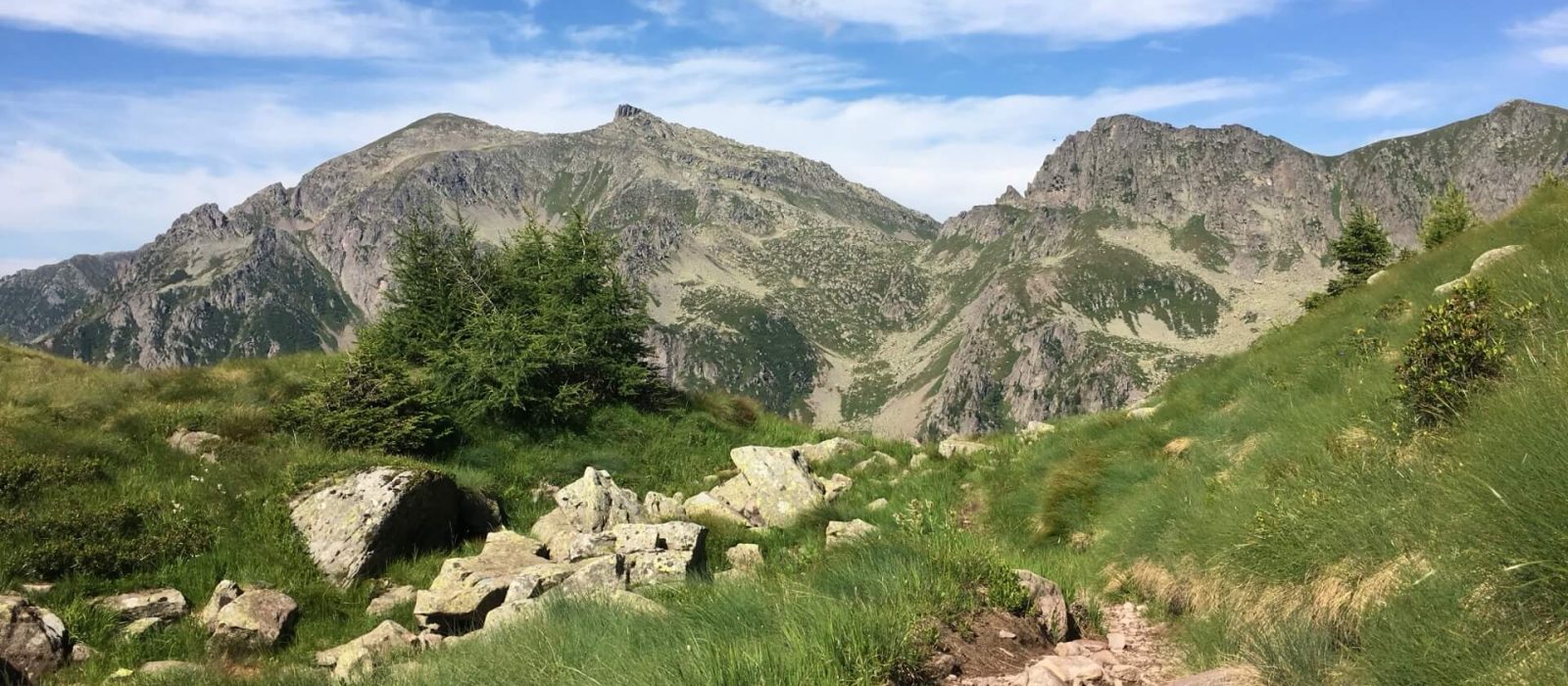Sentiero di montagna tra prati e rocce, con piccoli abeti e montagne rocciose sullo sfondo