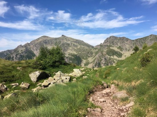 Sentiero di montagna tra prati e rocce, con piccoli abeti e montagne rocciose sullo sfondo