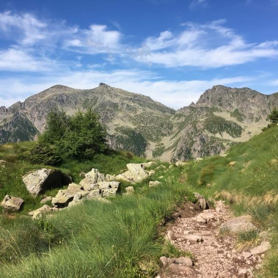 Sentiero di montagna tra prati e rocce, con piccoli abeti e montagne rocciose sullo sfondo