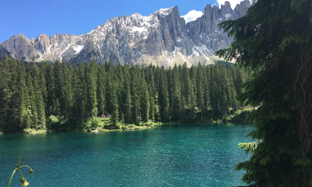 Lago di Carezza in una giornata soleggiata, con bosco di abeti e le cime dei Campanili del Latemar sullo sfondo